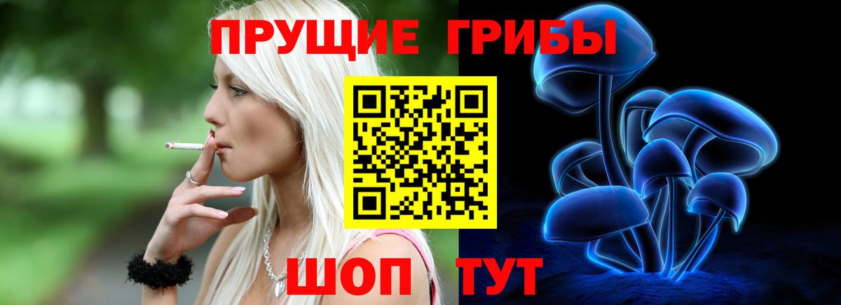 Галлюциногенные грибы Cubensis  Галлюциногенные грибы GOLDEN TEACHER  Зеленогорск  Вход с VPN 