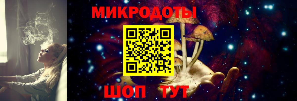 Псилоцибиновые грибы мухоморы Зеленогорск